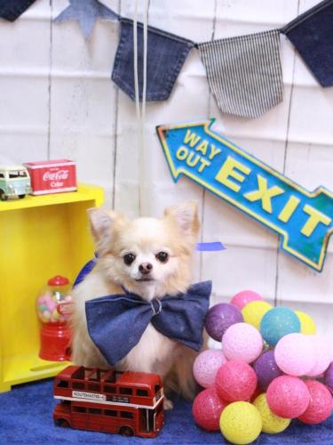 20230420ヴィヴィちゃん